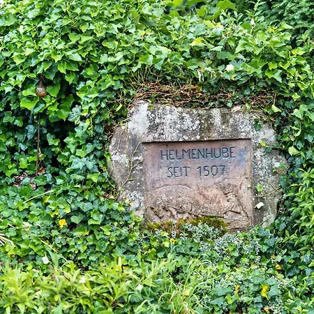 Hof Helmenhube 2 Apartment Gammelsbach